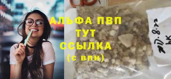 стаф Богородск
