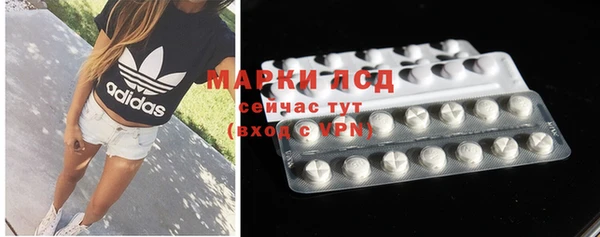 гашик Богданович