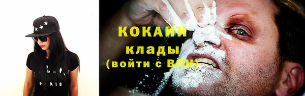стаф Богородск