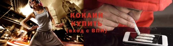стаф Богородск
