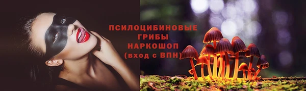 а пвп мука Богородицк