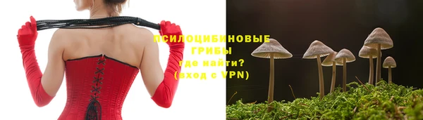 а пвп мука Богородицк