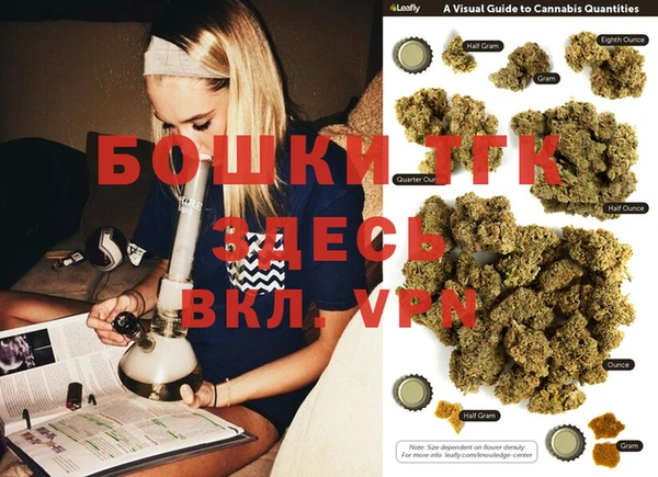 гашик Богданович
