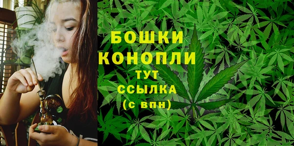 гашик Богданович