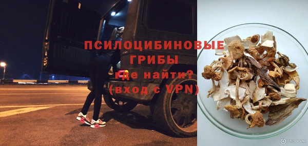 гашик Богданович