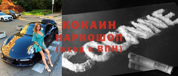 гашик Богданович