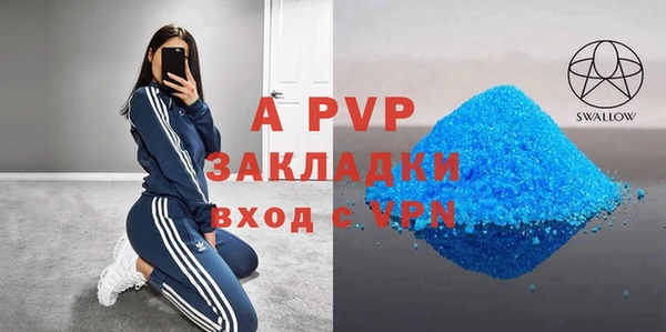 гашик Богданович